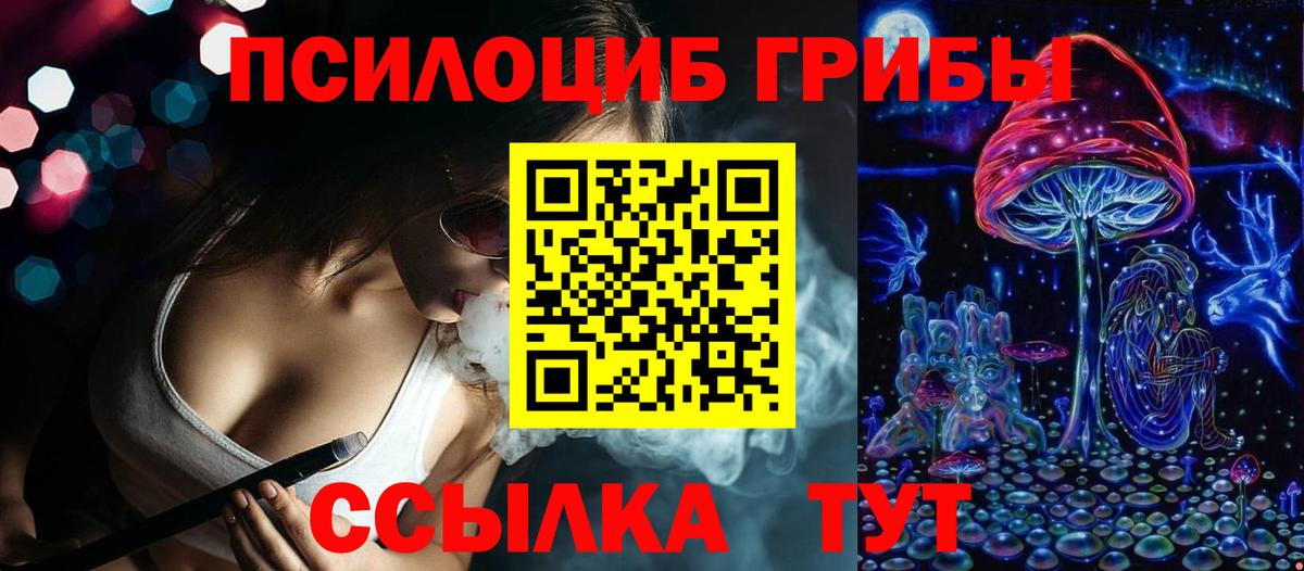 Семёнов  Галлюциногенные грибы Psilocybine cubensis  Вход с VPN  Псилоцибиновые грибы прущие грибы 